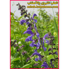 معلم يضرب الطلاب بوحشية في quot مرامية العيص quot المدينة المنورة. Ø§Ù„Ù…Ø±ÙŠÙ…ÙŠÙ‡ Ø§Ù„Ù…ÙŠØ±Ø§Ù…ÙŠÙ‡ Ø§Ù„Ù…Ø±Ø§Ù…ÙŠÙ‡ Ù…Ø±Ø§Ù…ÙŠÙ‡ Ù…ÙŠØ±Ø§Ù…ÙŠÙ‡ Ø¹ÙŠØ²Ù‚Ø§Ù† Ù…Ø±ÙŠÙ…ÙŠØ© Ù…Ø±Ø§Ù…ÙŠØ© Ù‚ÙˆÙŠØ³Ø© Ù†Ø§Ø¹Ù…Ø© Ù‚ØµØ¹ÙŠÙ†