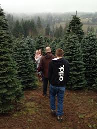 The white house christmas tree usually stands nearly 20 feet tall and the crystal chandelier in the blue room must be removed for the tree to fit the room. Christmas Tree Hunting At Leach Tree Farm In Sherwood Oregon Family Looks Forward To It Every Year Sherwood Oregon Tree Farms Oregon