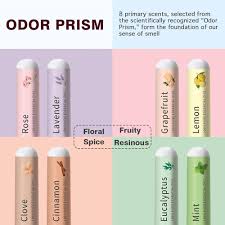 Image result for Olfactory Training