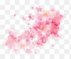 We did not find results for: Free Transparent Watercolor Flower Png Images Page 1 Pngaaa Com