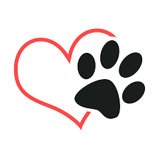 Contact us now to adopt a pet, make a donation, or volunteer for our sacred mission! Route 66 Pet Rescue Tulsa