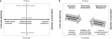 The concept design sets the vision and tone for the project and is the first design phase of working with a landscape architect. Conceptual Framework And Uncertainty Analysis For Large Scale Species Agnostic Modelling Of Landscape Connectivity Across Alberta Canada Scientific Reports
