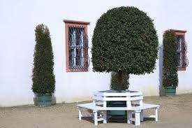 Baumbank Selber Bauen Anleitung Tipps Selber Bauen Anleitung Pool Fur Kleinen Garten Selber Bauen