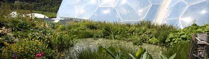 Maybe you would like to learn more about one of these? How To Make A Bog Garden Eden Project