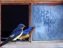 pin by ellis lewin factory on ethnies art painting animals
