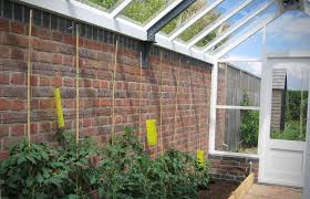 Diy greenhouse by ana white. Greenhouse Design Herbidacious
