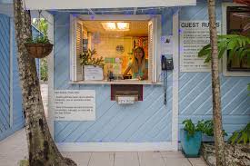 See 864 traveler reviews, 1,256 candid photos, and great deals for sivananda ashram yoga retreat bahamas, ranked #1 of 15 hotels in paradise island and rated 4.5 of 5 at tripadvisor. Bahamas Sivananda Yoga Retreat Dreaming Balu