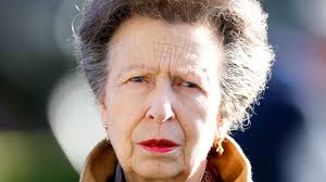 Princess Anne's seven-word shock statement