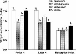 Image result for Erianthemum ngamicum
