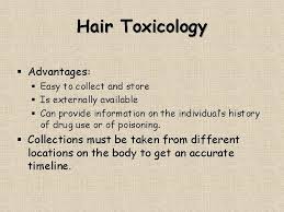Camel hair is, variously, the hair of a camel; Hair And Fiber Hair Evidence From Hair One