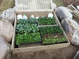 9 036 cold frame stock video clips in 4k and hd for creative projects. Starting Vegetable Seeds Under Fluorescent Lights Maryland Grows