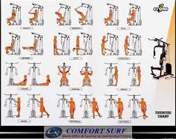 Multi Gym Workouts Image Result For Back Exercises For The Multi Gym Exercises Multi Gym Gym Workouts Machines Home Gym Exercises