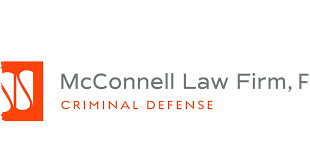 He Said, She Said: Inside the High-Stakes Police Battle to Untangle Mutual Domestic Violence Claims and Wh ...