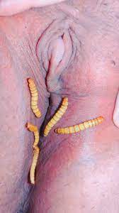 Mature Pussy with Worms 