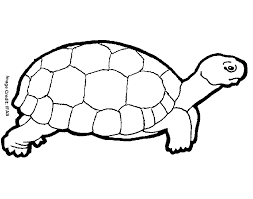 Add these free printable science worksheets and coloring pages to your homeschool day to reinforce science knowledge and to add variety and fun. Free Printable Ninja Turtle Coloring Pages Coloring Pages For Free