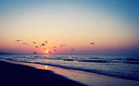 11 Quotes On Summer Summer Wallpapers Tumblr Beach Background Tumblr Summer Backgrounds