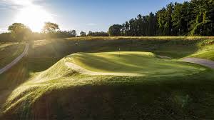 Image result for Lawsonia