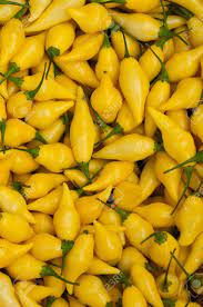 The lower temperature ensures the peppers retail their crunch while having the sweet banana. Group Of Spicy Yellow Peppers Stock Photo Picture And Royalty Free Image Image 68699937
