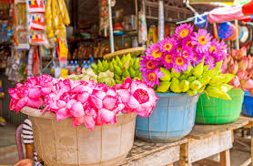 Floraholland is the largest flower auction centre in the world and they handle about 60% of the international trade in plants and flowers. A Visit To Royal Floraholland Personally Yours Travel