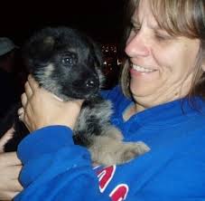 Laura Caiafa Obituary