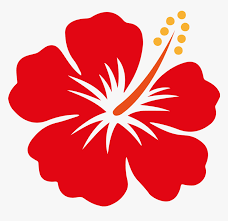 Use these free raya png #119438 for your personal projects or designs. Hibiscus Vector Png Bunga Raya Malaysia Png Transparent Png Kindpng