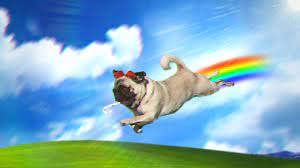 Rainbow Pug 1920x1080 Pug Wallpaper Pugs Fish Pet