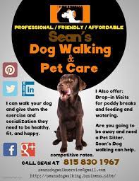 Sean S Dog Walking Pet Care Flyer Check Out My Services Rates And Contact Info At Http Seansdog Dog Walking Business Dog Walking Dog Walking Services