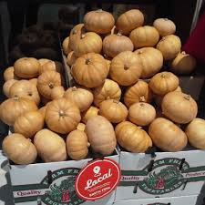 See more ideas about squash soup recipe, squash soup, butternut squash recipes soup. Seminole Pumpkin Archives Frog Song Organics Organic Farm Central Florida