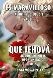 MARISA ELY VEJARANO MEZARINA (marisaelyv)