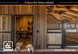 They offer your dog what you sometimes cannot: Dog Kennels And Other Non Horse Barn Designs Dc Structures Blog