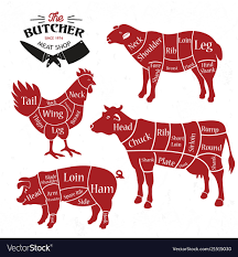 Meat Cuts Diagrams For Butcher Shop Animal