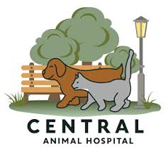 We did not find results for: Stoneham Ma 02180 Veterinarian Central Animal Hospital Of Stoneham