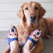 Giveaway Is Your Rescue Pet Your Paw Fect Valentine Enter Our Valentine S Day Giveaway For A Chance To Win A Pair Of B Skechers Elite Skechers Skechers Bobs