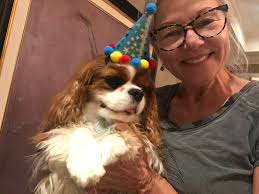 Teddy's 4th Birthday Celebration in Stofer's Labs Families