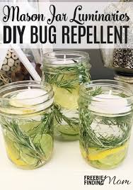 Maybe you would like to learn more about one of these? Mason Jar Luminaries Homemade Bug Repellent