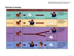 Chapter 12 Motivation Emotion Ppt Download