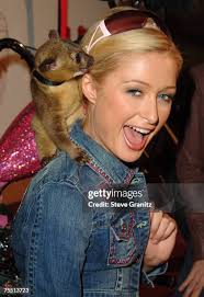 4,848 Luv You Photos & High Res Pictures