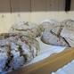 Lo Pan Ner – Rye bread festival at the Oberwald bakery event image