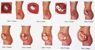 Find images of pregnant woman. Kesehatan Tanda Tanda Awal Kehamilan