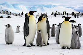 Antarctica | History, Map, Climate, & Facts | Britannica
