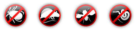 We treat along the baseboards of the entire house, in bathrooms, under sinks. Pest Control In Lawton Ok Advanced Pest Termite
