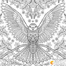 How to make coloring pages to print? Pin By Myri Popla On Coloring Birds Animal Coloring Pages Mandala Coloring Pages Halloween Coloring Pages