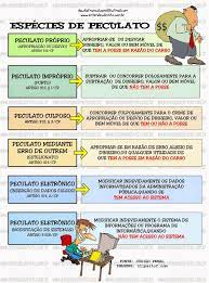 Nulidade da sentença por falta de motivação quanto à perda da função. Peculato E Um Crime Proprio De Funcionario Publico Tambem Praticado Por Particular Em Concurs Direito Penal Entendeu Direito Remedios Constitucionais