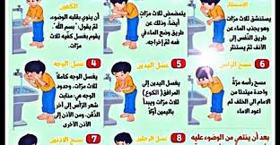 الترتيب في الوضوء وحكمه وخطوات الوضوء بالتفصيل in 2021 family guy fictional characters character