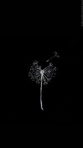 Aesthetic Cute Black And White Galaxy Wallpaper Download New Black Background For Android Phone This Month Dark Background Wallpaper Dark Wallpaper Black Wallpaper