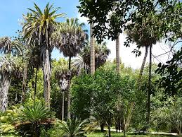 Garten oder buchungen für veranstaltungen und führungen können sie richten an: Botanischer Garten Von Lissabon In Lissabon Portugal Sygic Travel