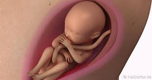 Sooo also jetzt kann man ihn eigentlich nicht mehr verleugnen, dennoch im vergleich zu anderen schwangeren malwieder winzig ;)! 24 Schwangerschaftswoche Das Tut Sich In Der 24 Ssw Netdoktor