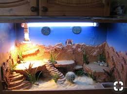 Beardeddragondiy Bearded Dragon Terrarium Ideas Bearded Dragon Vivarium Bearded Dragon Habitat