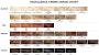 Ash Brown Loreal Hair Color Chart