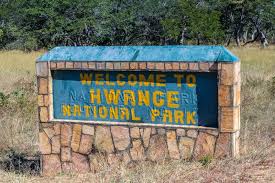 Hwange National Park Safari Guide - Explore Zimbabwe's Largest Park